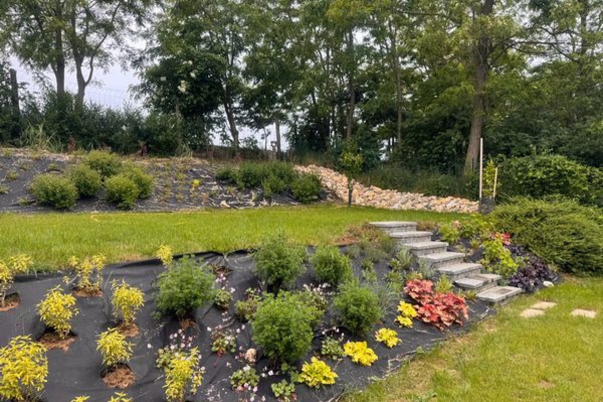 Utána: Teskánd_1.jpg