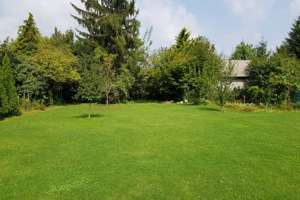 Előtte: Nk. Hauptgarten